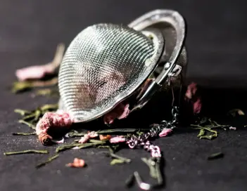 how to clean a tea infuser