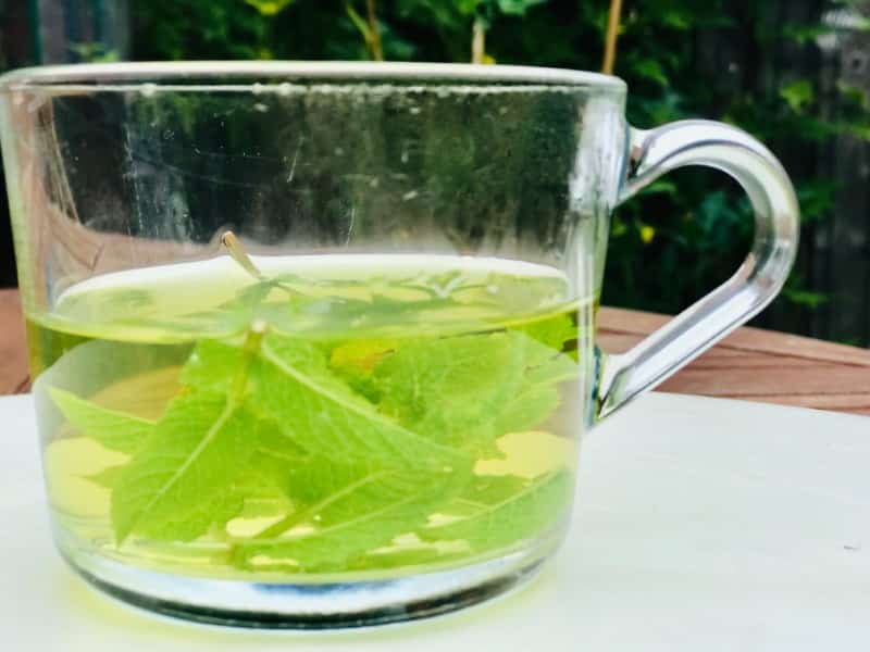 mint tea