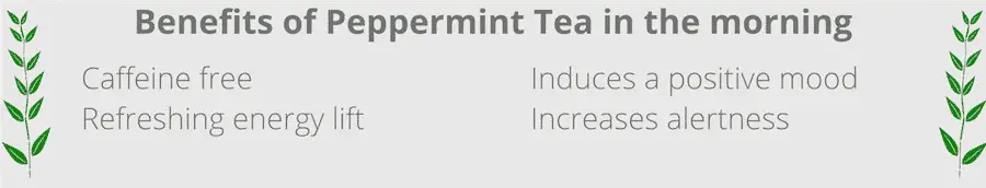 benefits of drinking peppermint tea in the morning