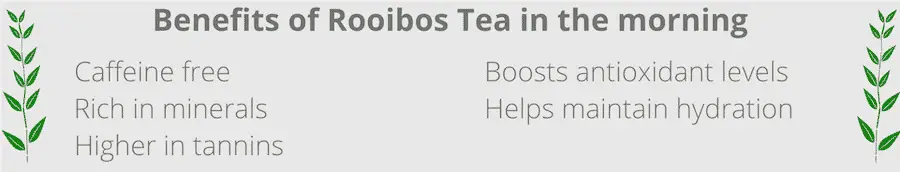 benefits of drinking rooibos tea in the morning