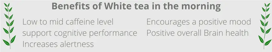 benefits of drinking white tea in the morning