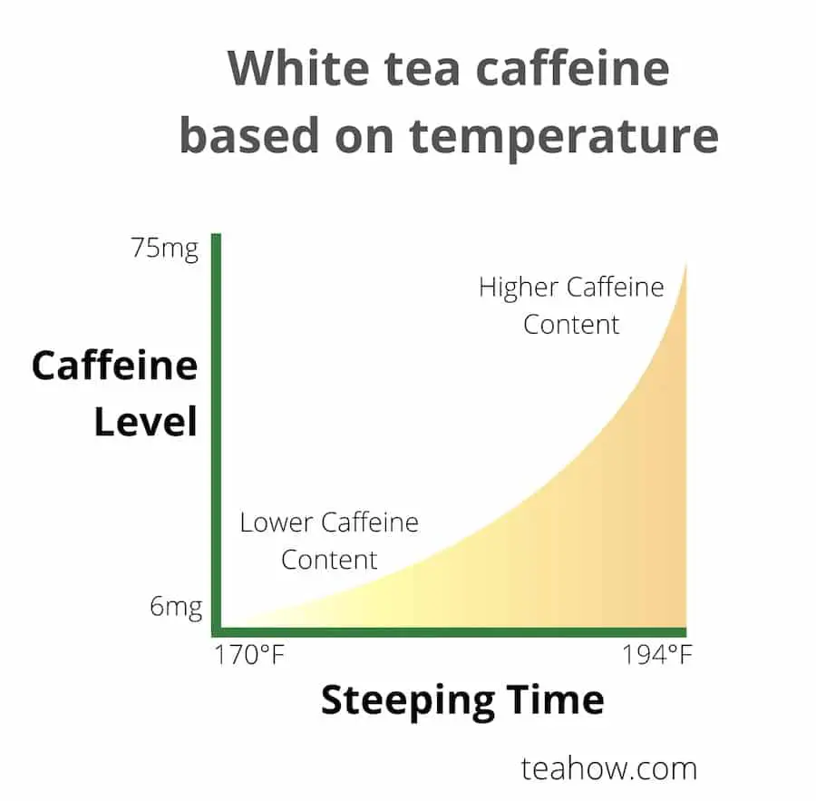 caffeine content vs temperature - white tea