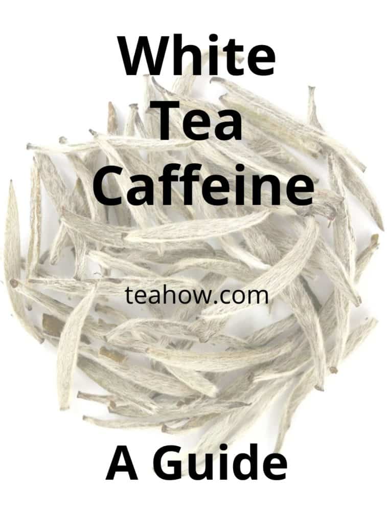 white tea caffeine a guide - pinterest