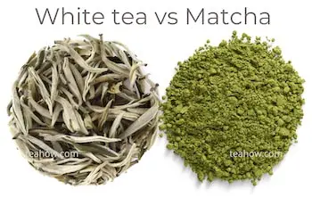 white tea vs matcha