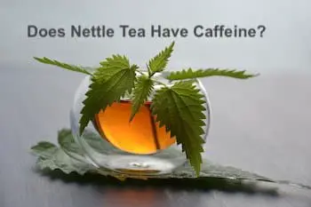 does nettle tea have caffeine - f