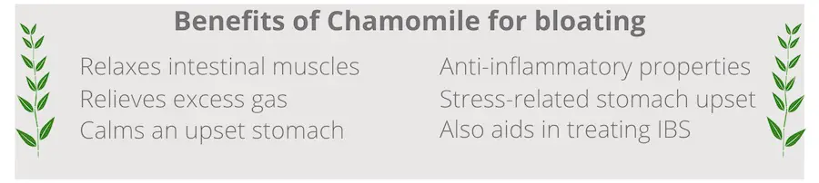 list of benefits of chamomile for bloating