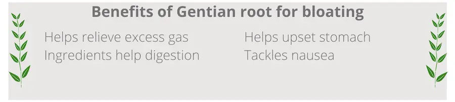 list of benefits of gentian root for bloating