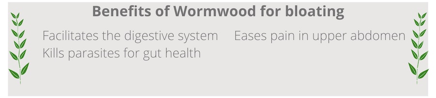 list of benefits of wormwood for bloating