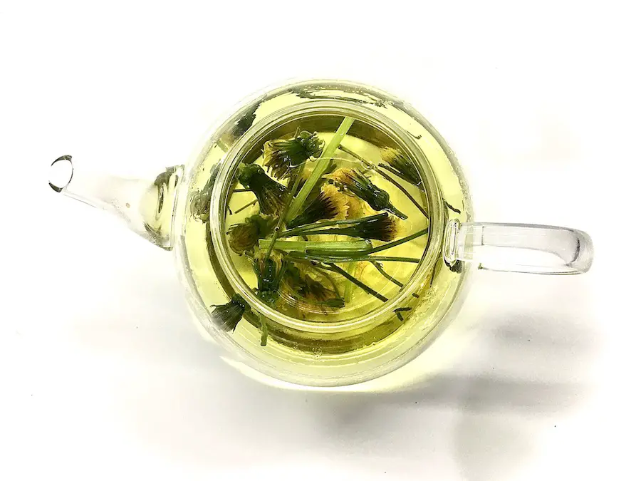 dandelion tea in a pot