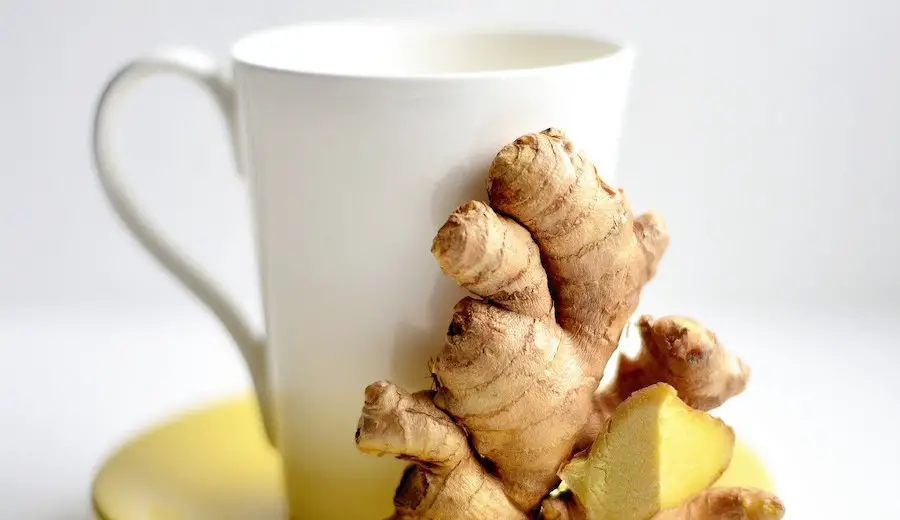 ginger tea benefits