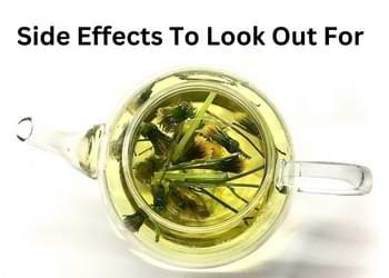 dandelion tea side effects