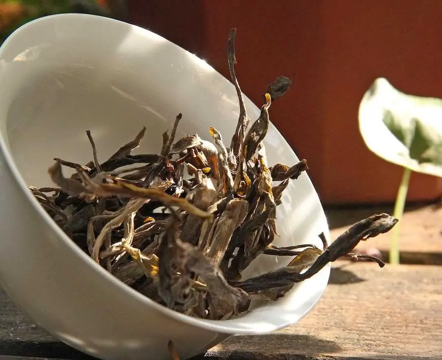 pu erh tea leaves